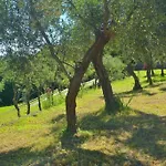 Villa Costa Dei Gelsomini - 5 Posti Letto, Piscina E Giardino Privato Vista Mare Rapallo