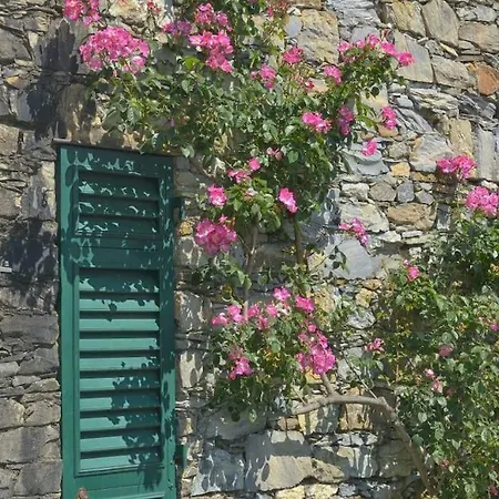 Villa Costa Dei Gelsomini - 5 Posti Letto, Piscina E Giardino Privato Vista Mare Rapallo